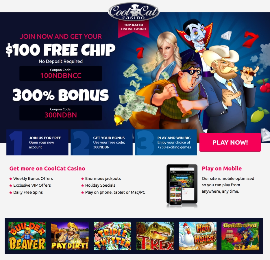 Coolcat casino 100free-spins